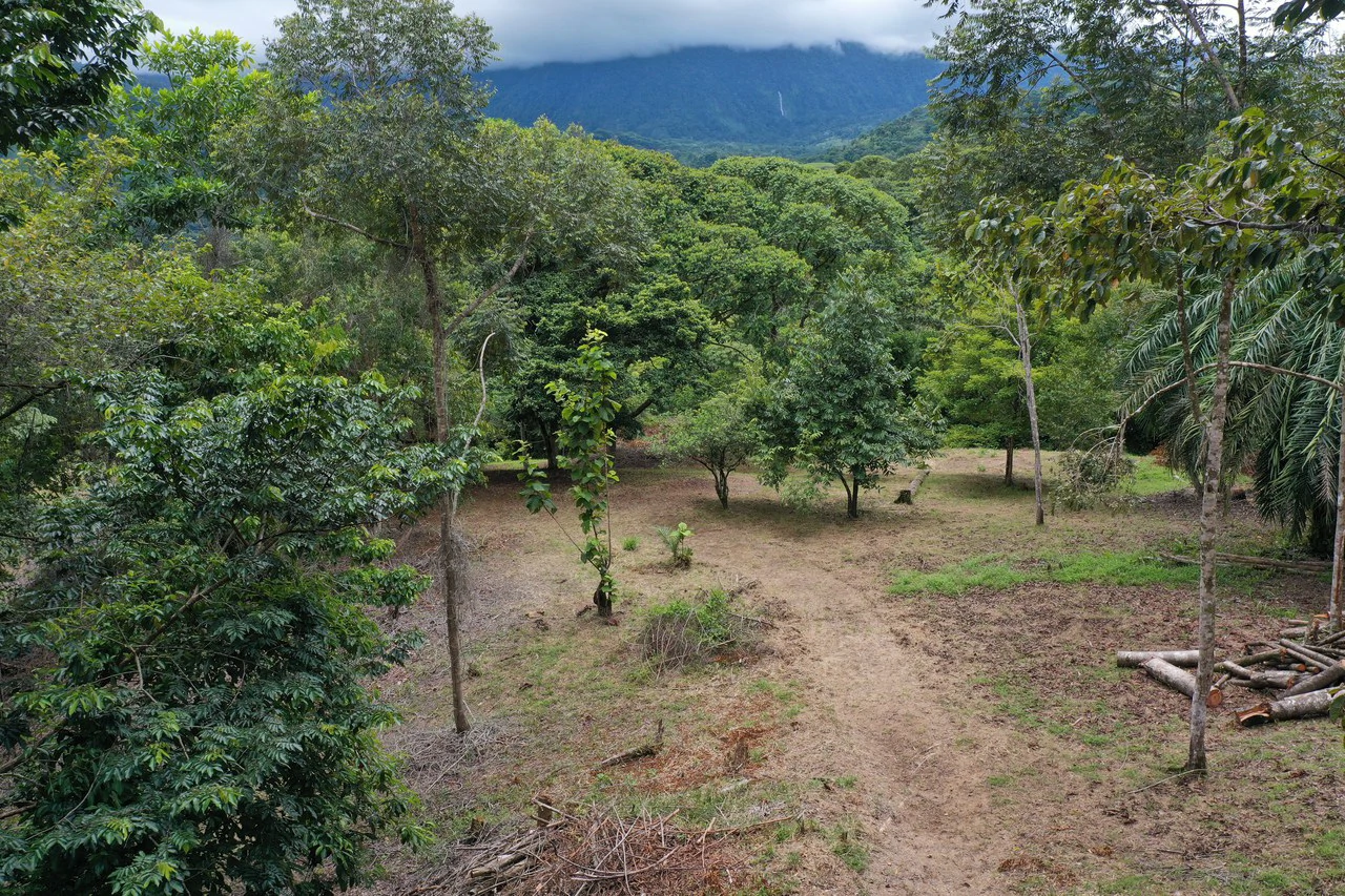 Diamante Waterfall View Land in Dominical 2.9 Acres - Gallery image 7