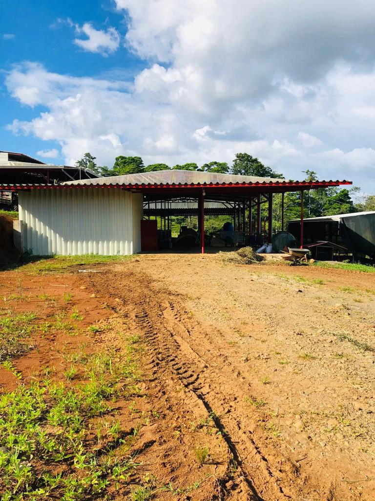 Professional Milk Factory for Sale with a big house in the mountains of Bijagua Costa Rica - Gallery image 24