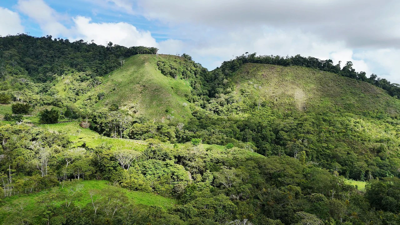Mountain Agricultural Land For Sale in San Isidro del General - Gallery image 14