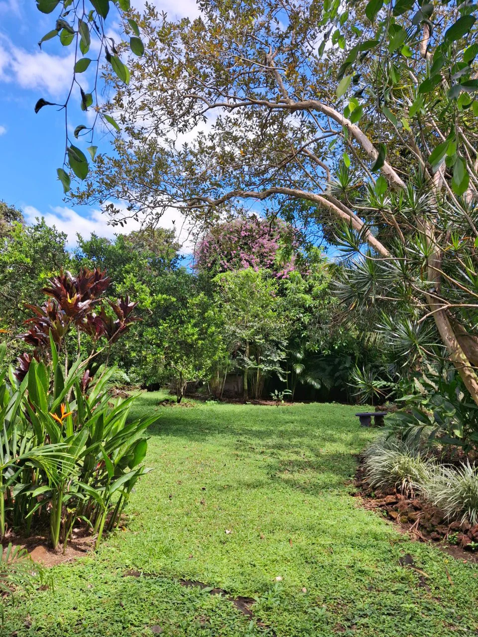 Casa Pura Vida!: Unique Multi-Home property and pool with nature backdrop - Gallery image 9