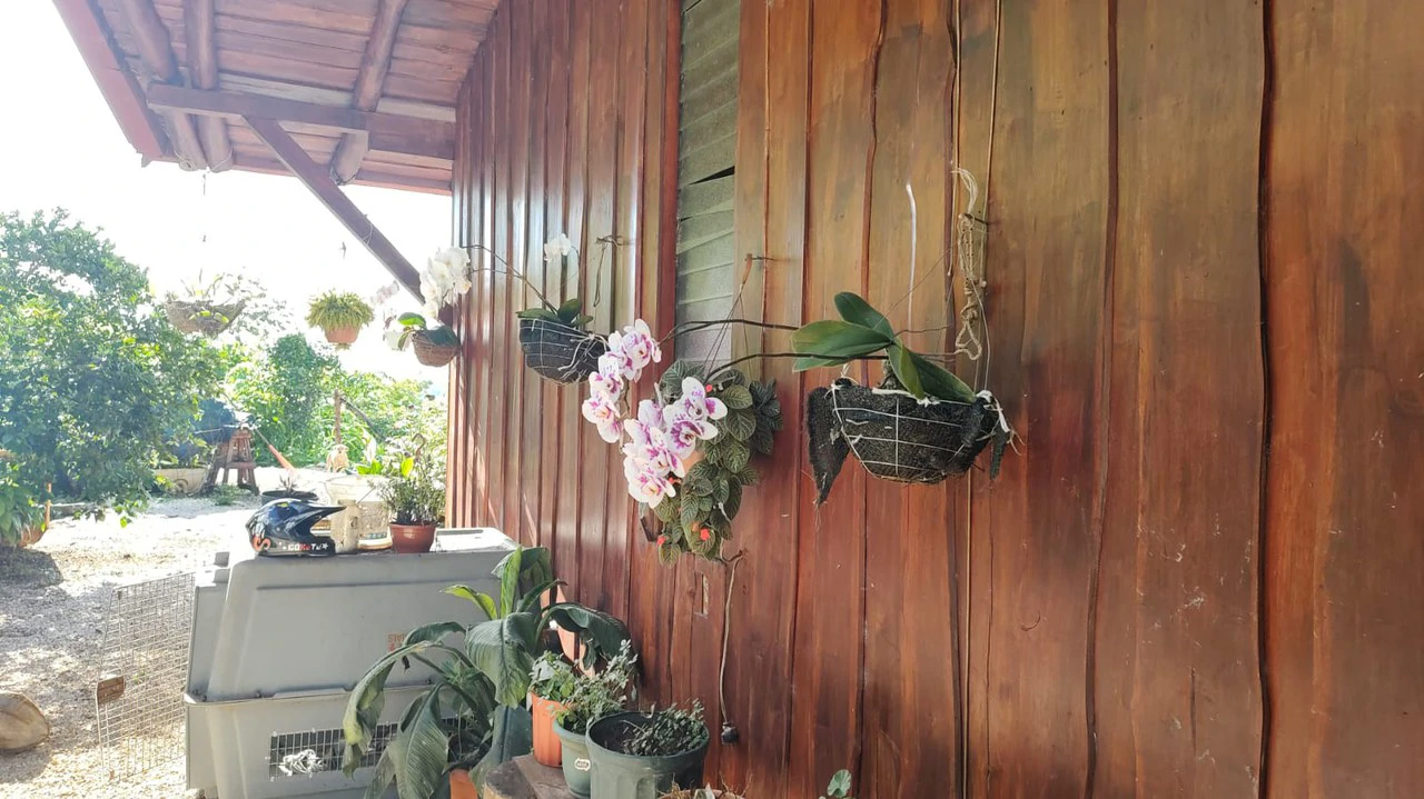 Agricultural Farm for Sale in the mountains of Hojancha, Beautiful 25-acre property with floating lake Apartment and Huge main home - Gallery image 23