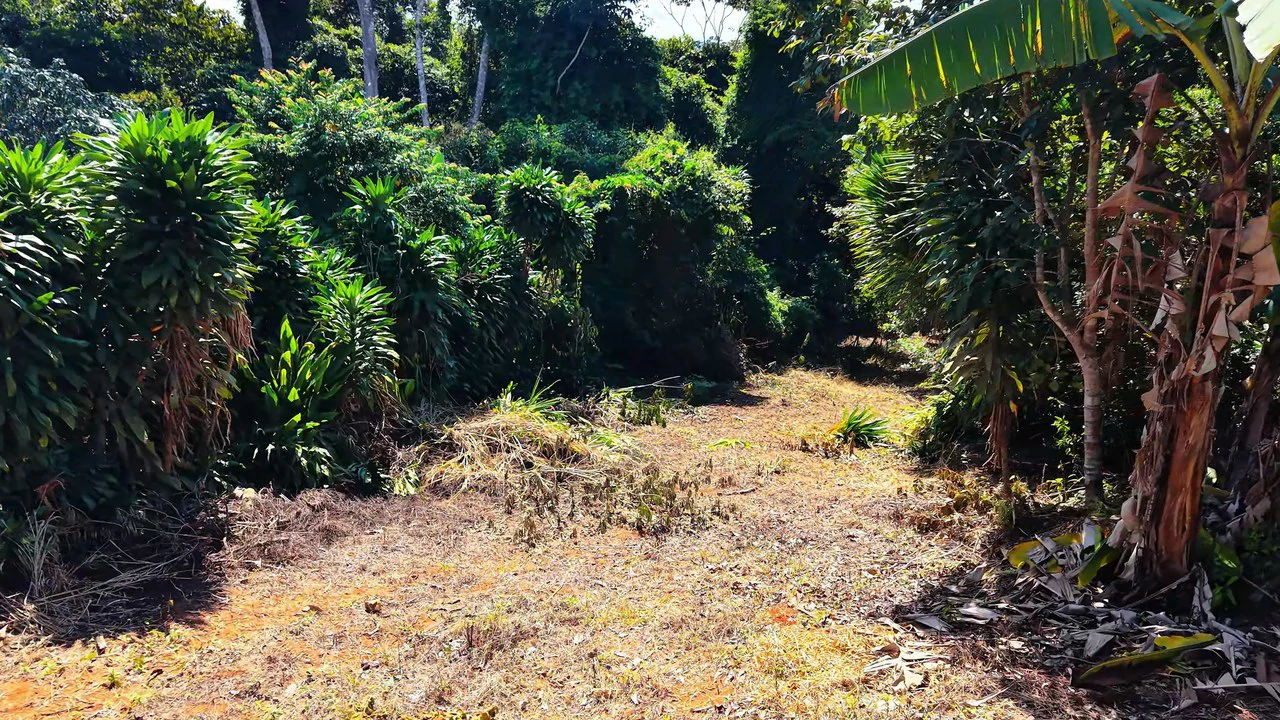 Home Construction Site For Sale in Pavones - Gallery image 7