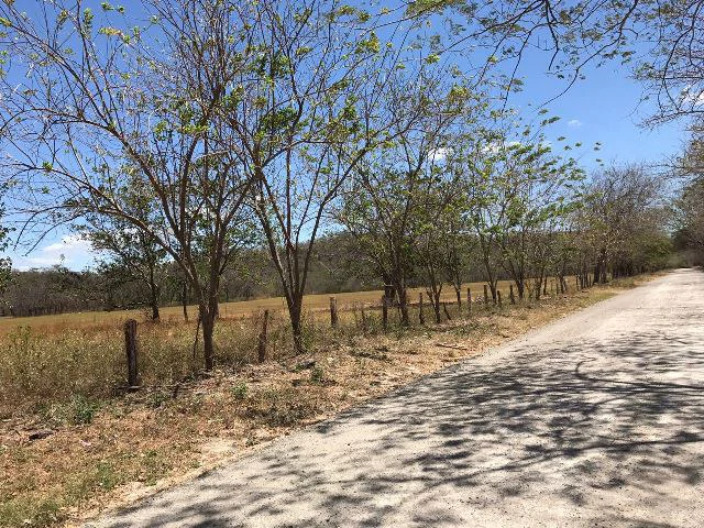 Huge terrain for sale in Guardia close to the International Airport of Liberia - Gallery image 2