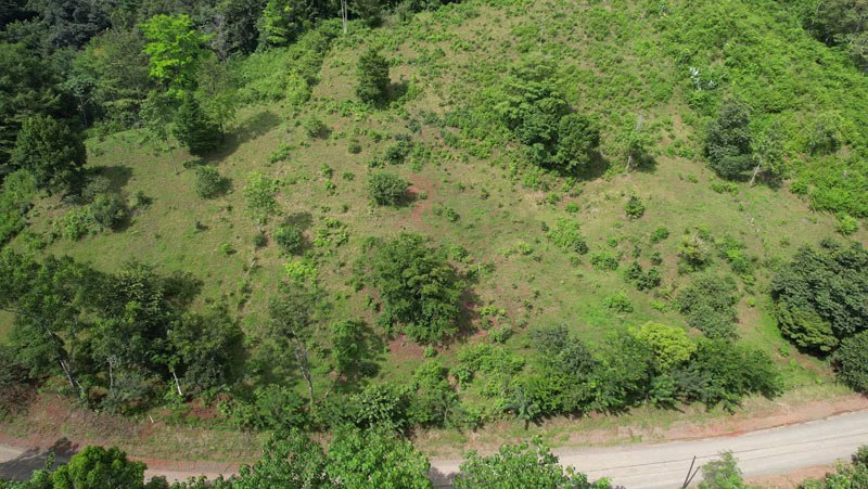 Ocean View & Primary forest 55-ha Rincon de Osa - Gallery image 9