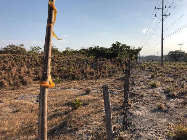 Commercial Property for sale, Located directly in front of the national Route #21 and Diagonal from the new project NYA - Gallery image 13