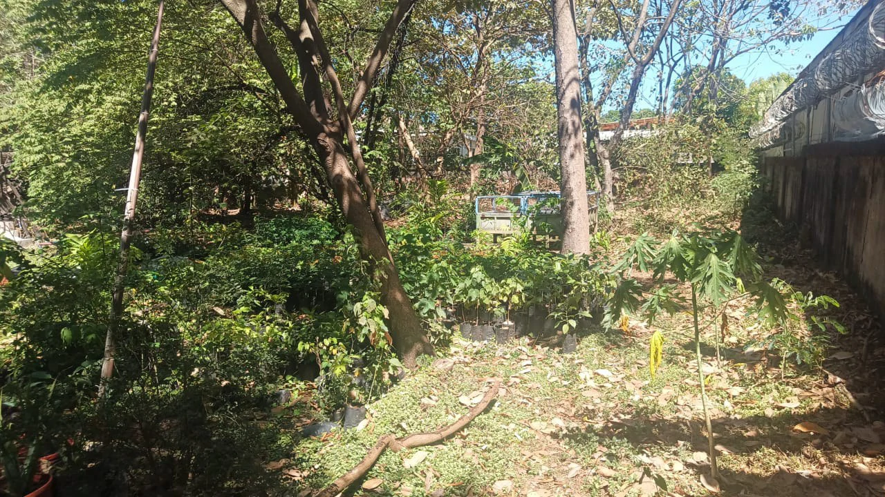 Prime Lot, very close to the beach for sale in the center of Playas del Coco - Gallery image 16
