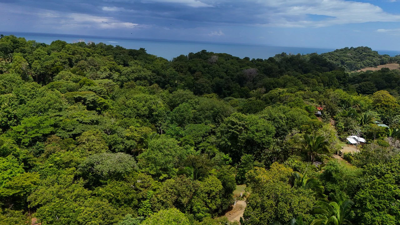 Beautiful Lot Ready to Built in Playa Hermosa, Osa with a Creek - Gallery image 4