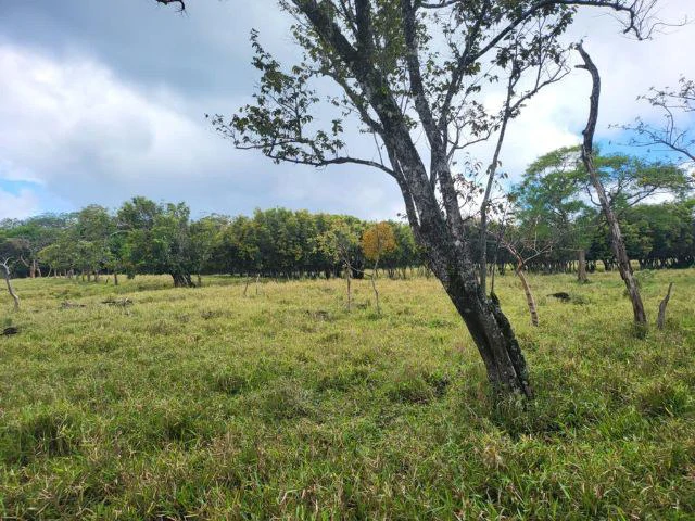 Charming property for sale in Nueva Guatemala with stunning views of the Tenorio Volcano and the beautiful green valleys - Gallery image 9