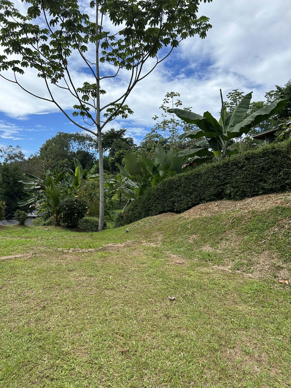 Playa Hermosa: Two Locations to Build, Permits Ready - Gallery image 47