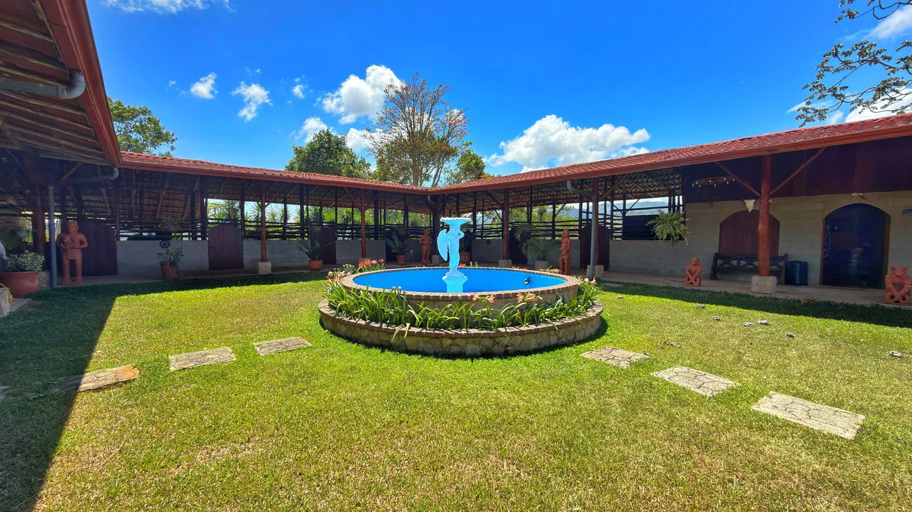 Agricultural Land For Sale in Daniel Flores - Gallery image 28
