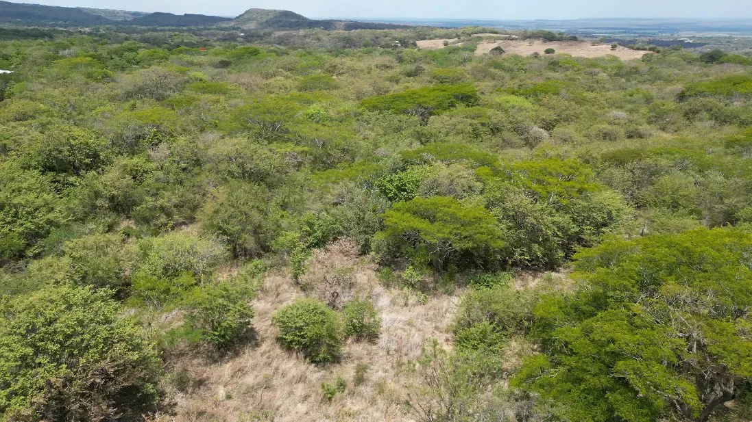 Land for Sale in Liberia, Guanacaste - Gallery image 9