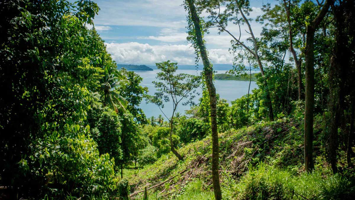 Rincon Mountain Land Gulf View | A Breathtaking Landscapes of Rincon - Gallery image 20