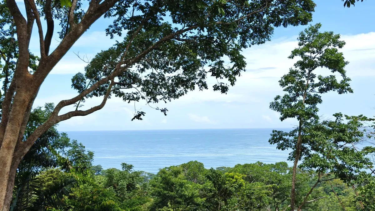 ID 345: 6,763m² Ocean View Development Land for Sale in Puerto Viejo - Gallery image 4