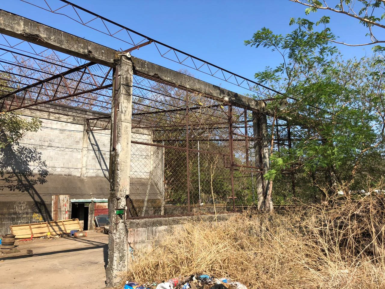 Large property with warehouses in Filadelfia, Carrillo - Gallery image 15