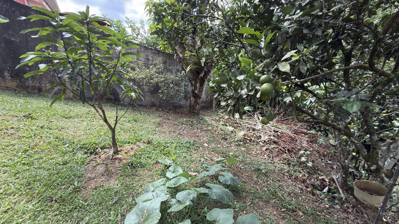 Countryside House For Sale in San Isidro del General - Gallery image 19