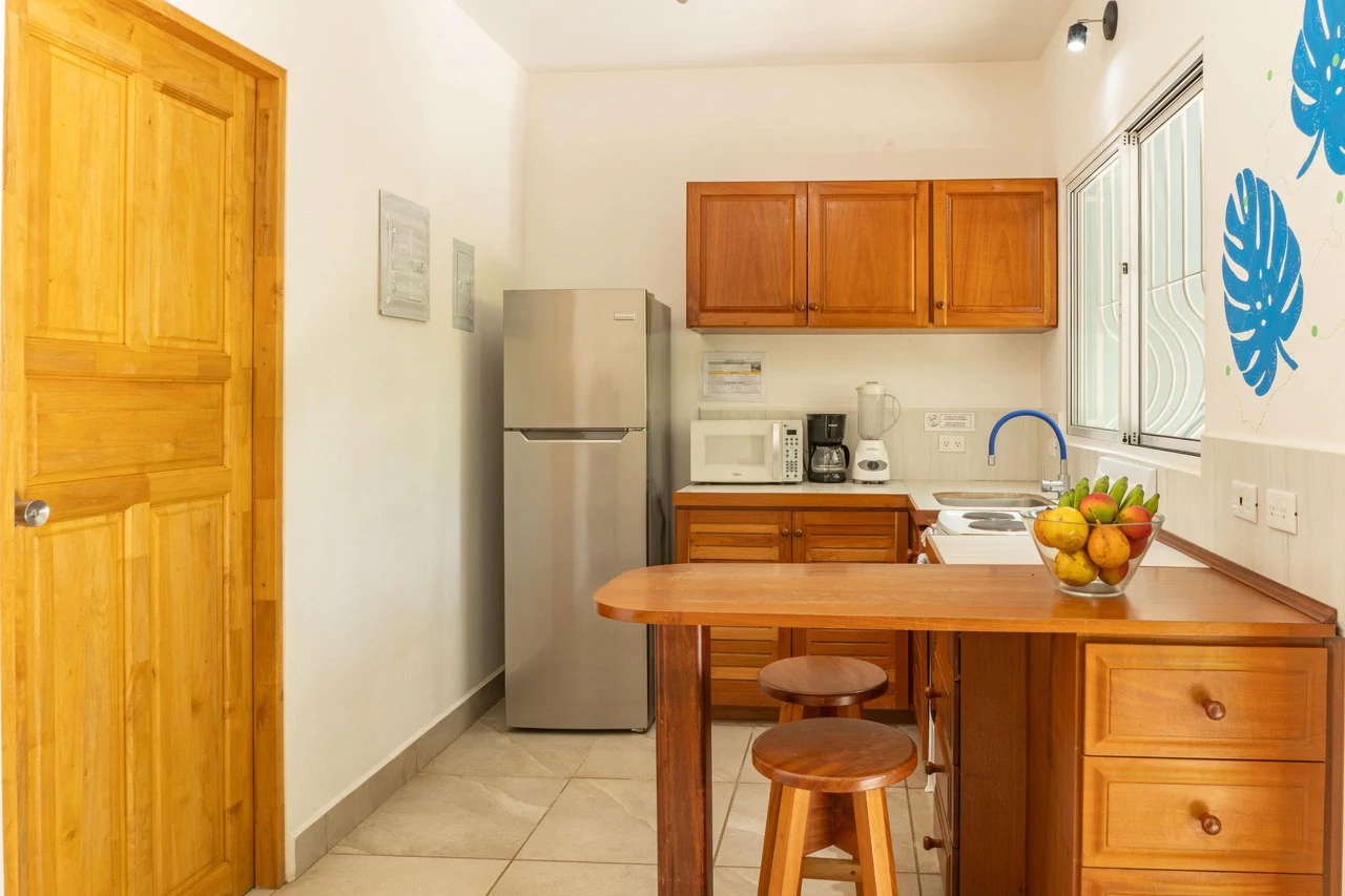 Casa Ceiba: Turnkey Investment Walking Distance to Beach - Gallery image 12