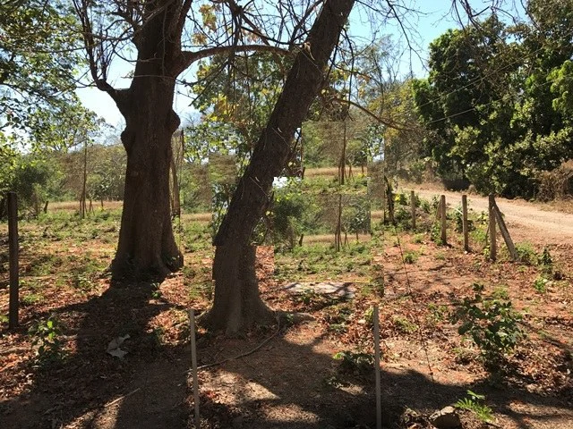 Big Property close to Playa Conchal - Gallery image 2