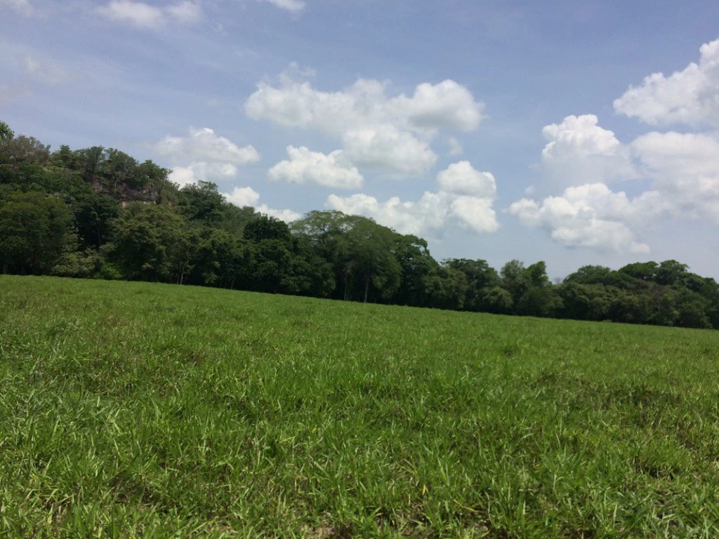 Propiedad de 79 hectáreas: Property of 79 hectares, located in Canas Dulces Liberia. - Gallery image 17