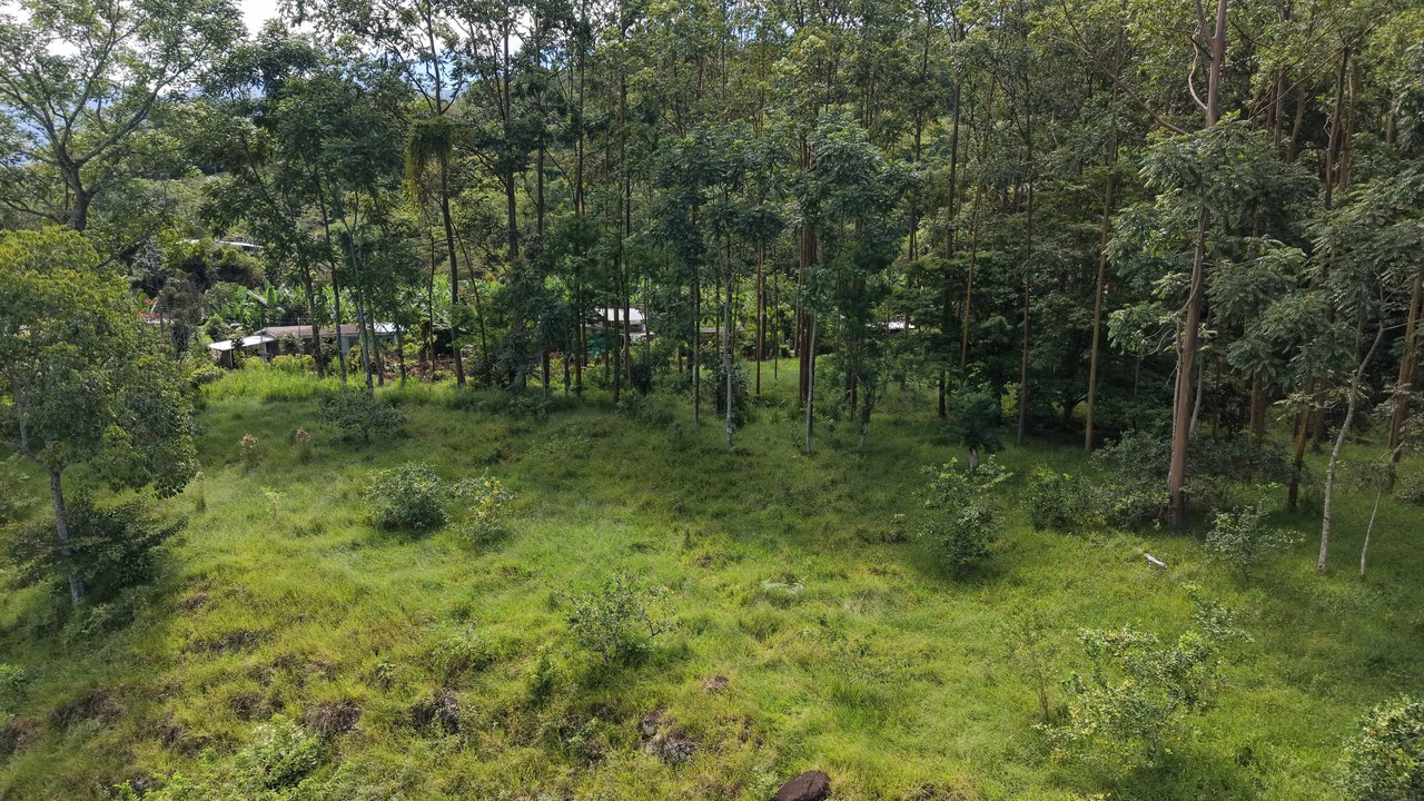 Mountain Home Construction Site For Sale in San Isidro del General - photo 5