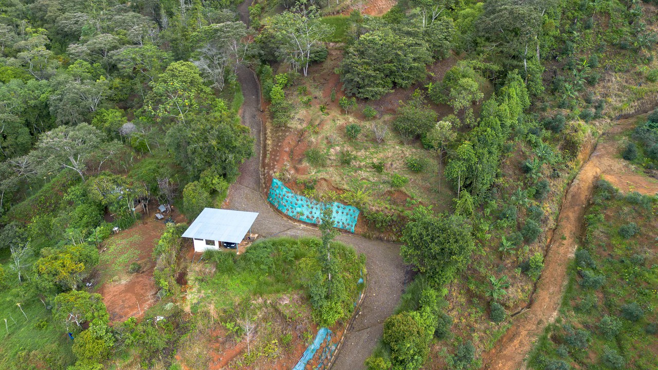 10.21 Acres with Views & Plantels – Pérez Zeledón - Gallery image 3