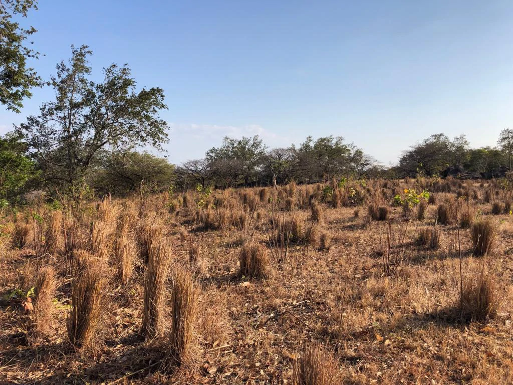 Airport Property - in front of route 21, Liberia - Gallery image 18