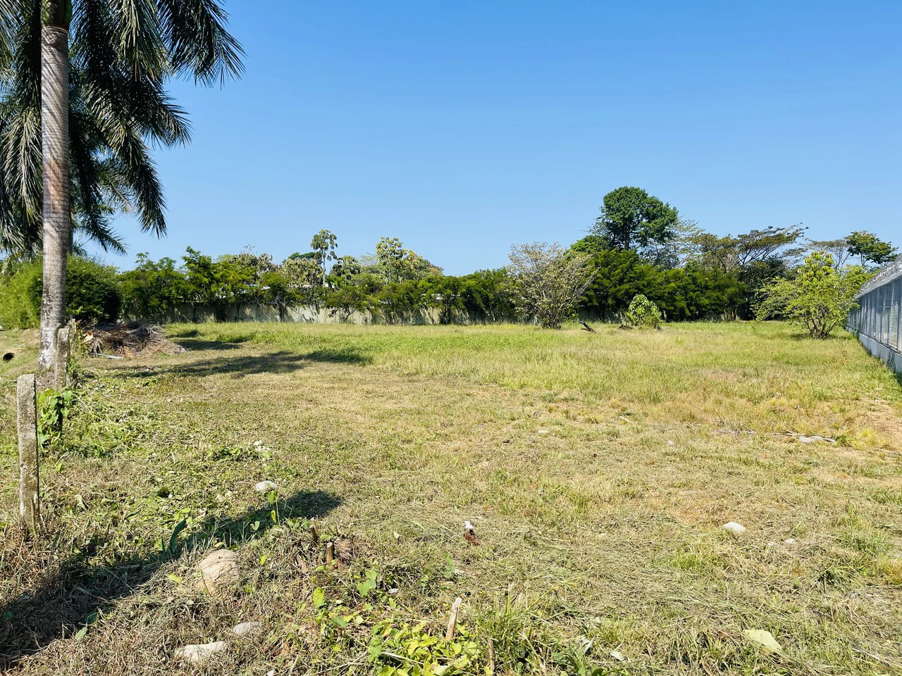 Development Parcel For Sale in Uvita - Gallery image 7