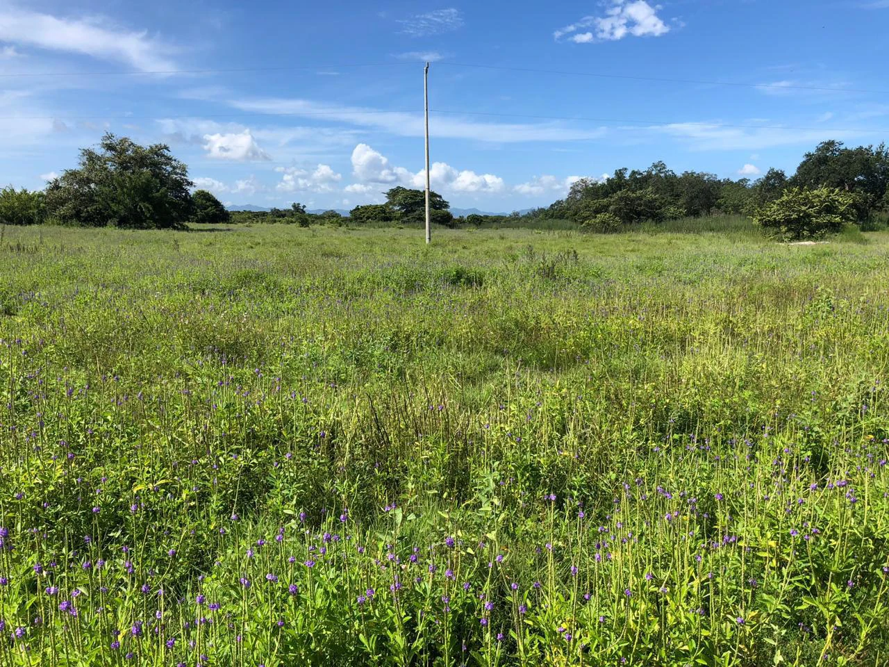 Great investment opportunity, property adjacent to Liberia Airport - Gallery image 10