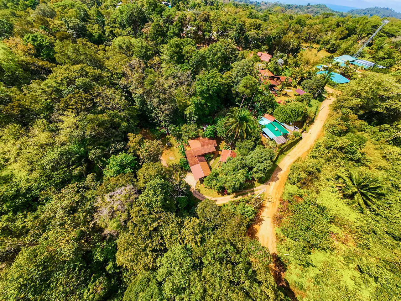 Serene Jungle Home + Guest Cabin on 3 Acres and River - Gallery image 33