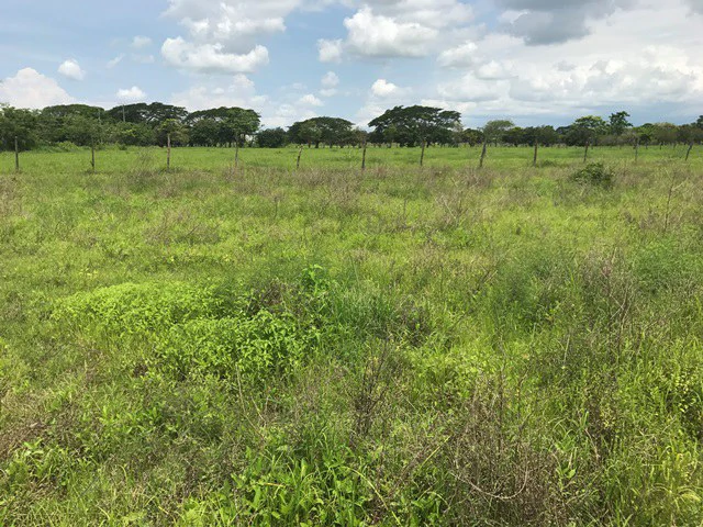 Property close to Liberia and Discovery Park - Gallery image 10
