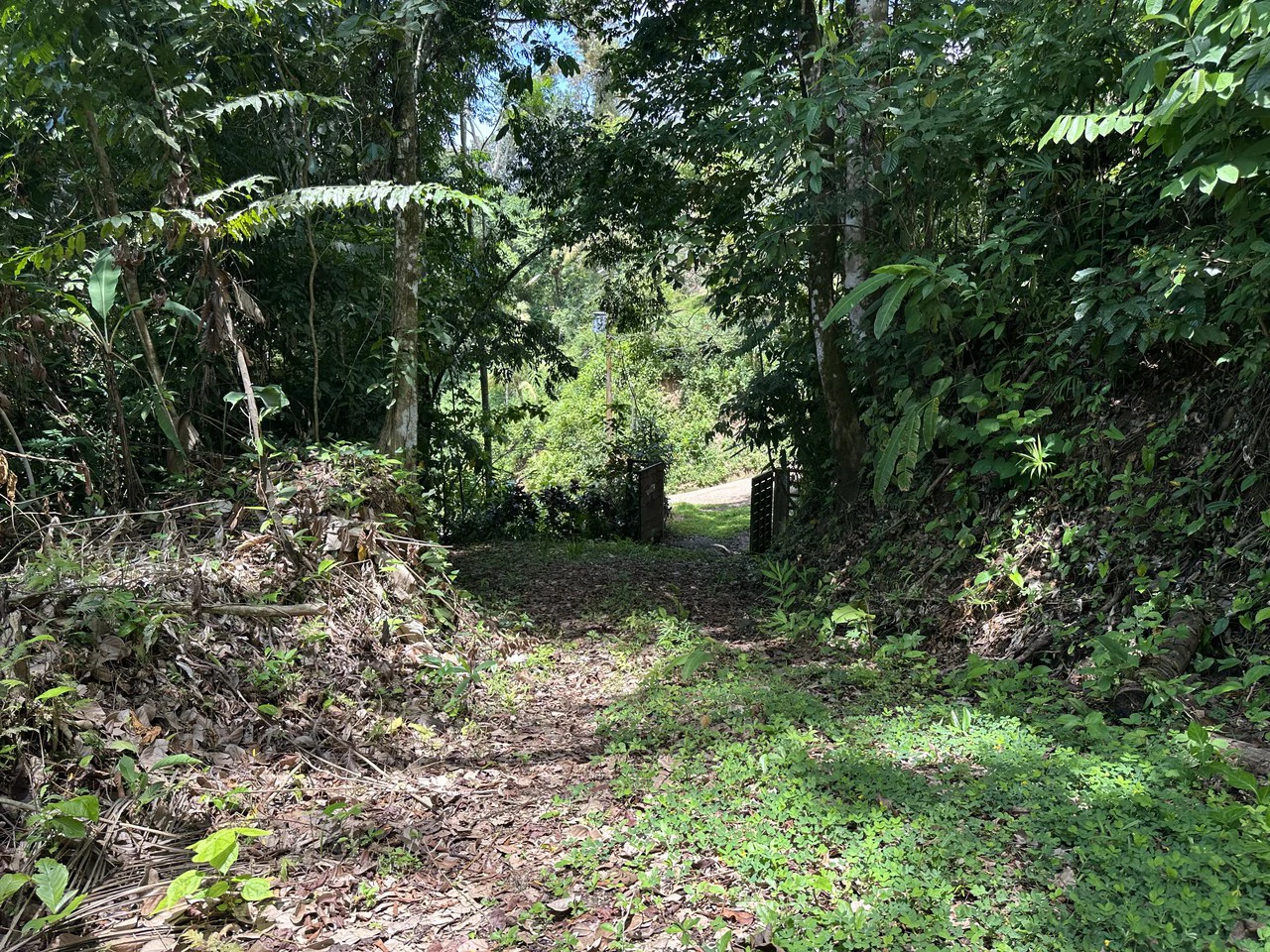 Ocean View Estate Lot with Private Waterfall – Uvita - Gallery image 18