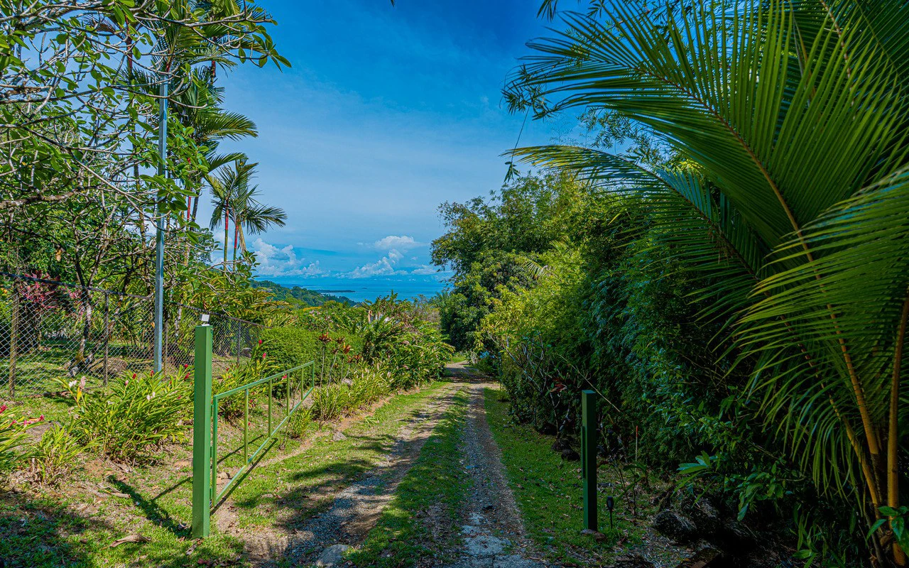 Whale's Tail Ocean View Estate with Extra Lot in Between Uvita and Dominical - Gallery image 99