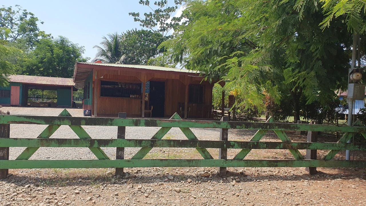 CONSERVATION AND DEVELOPMENT LAND WITH OCEAN VIEW IN SIERPE, COSTA RICA - Gallery image 6