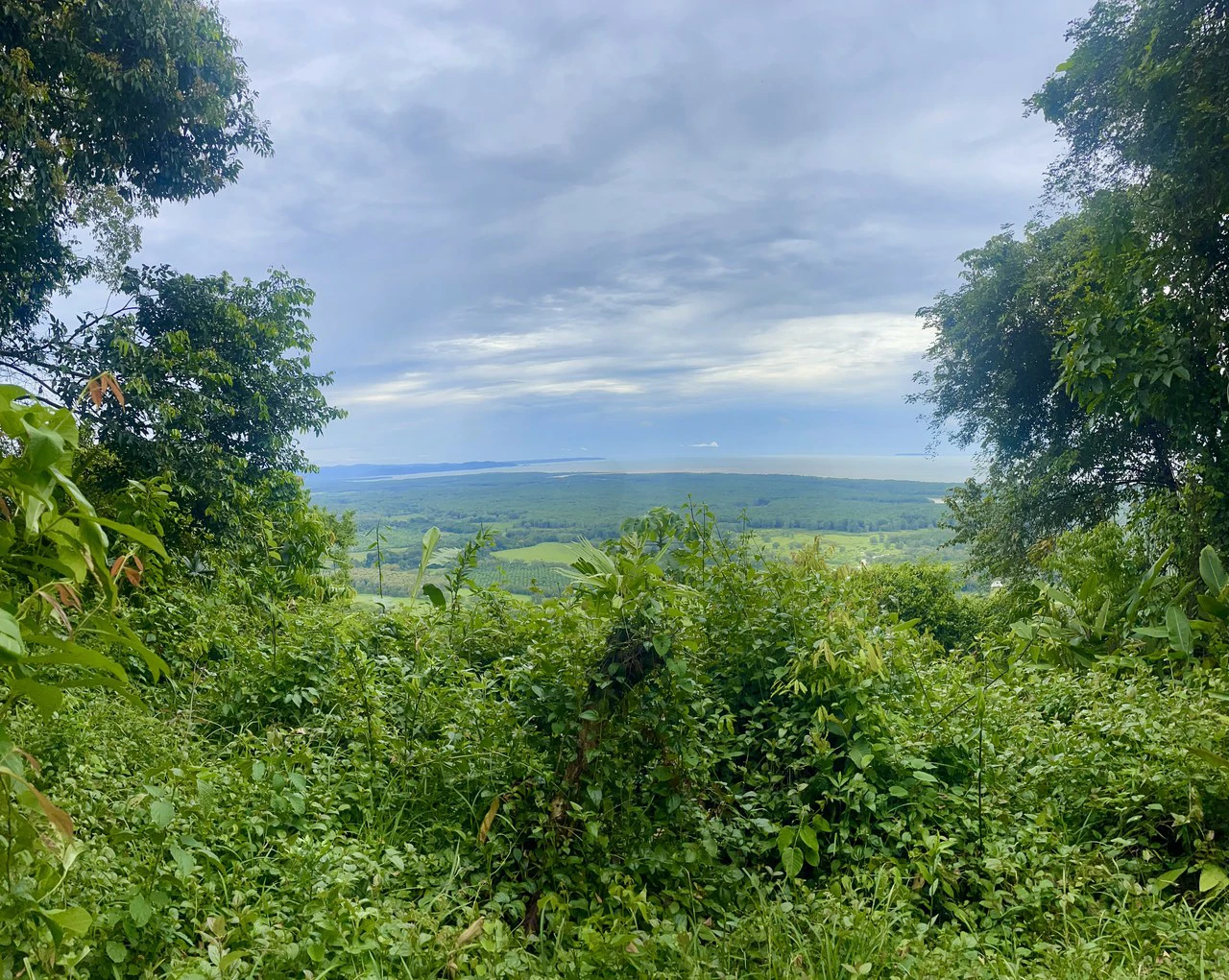 TROPICAL MASTERPIECE – 61.78 ACRES OF OCEANVIEW BLISS WITH WATERFALL: Mountain Development Parcel For Sale in Tres Rios - Gallery image 5