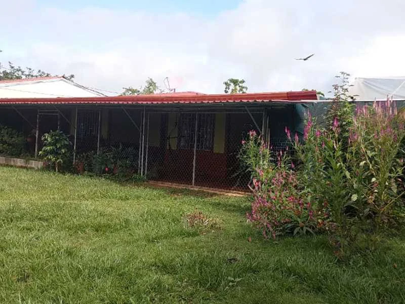 Livestock Farm | Titled property located in Santa Eduviges - Gallery image 32