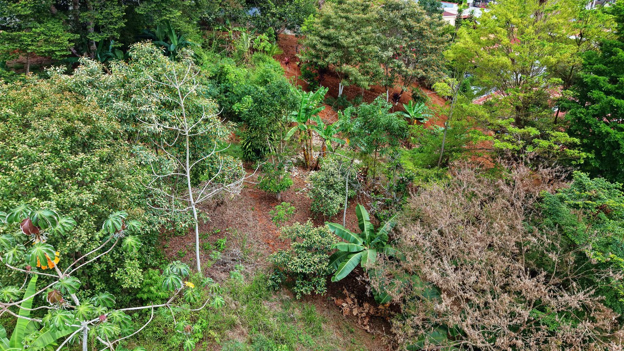 Home Construction Site For Sale in Centro de Pérez Zeledón - Gallery image 15
