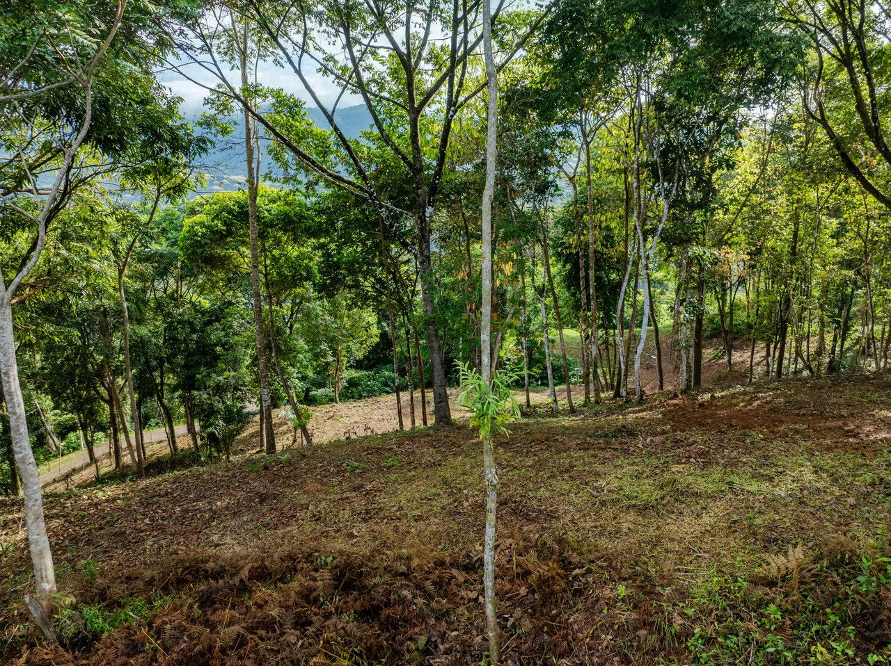 2.9 Acre Paradise with Diamante Valley Views Dominical - Gallery image 21