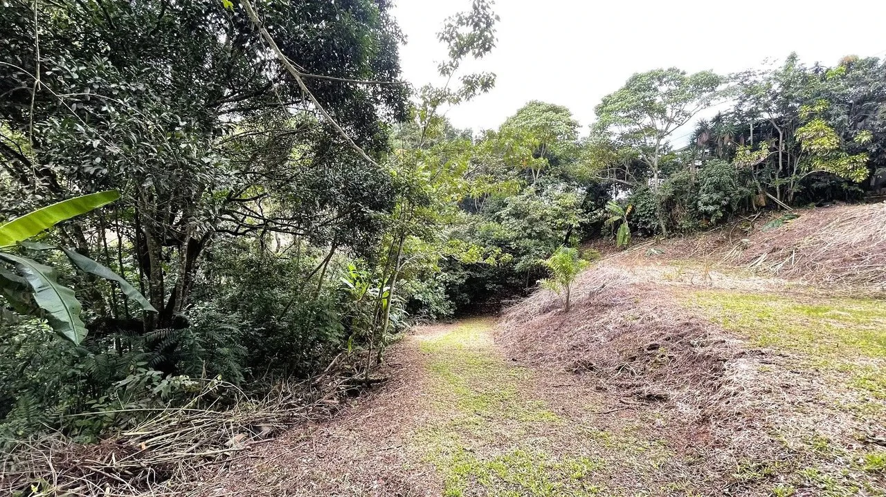 LAND FOR SALE IN SAN MIGUEL, NARANJO - Gallery image 6