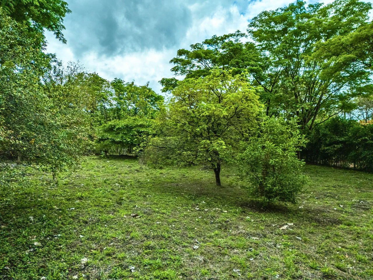 Marbella Dream Lot: 2.4 Acres of Natural Beauty Near the Beach - Gallery image 4