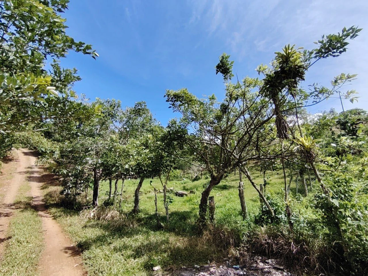 Terreno en San Juan Bosco 1782m2: Mountain and Countryside Home Construction Site For Sale in Daniel Flores - Gallery image 8