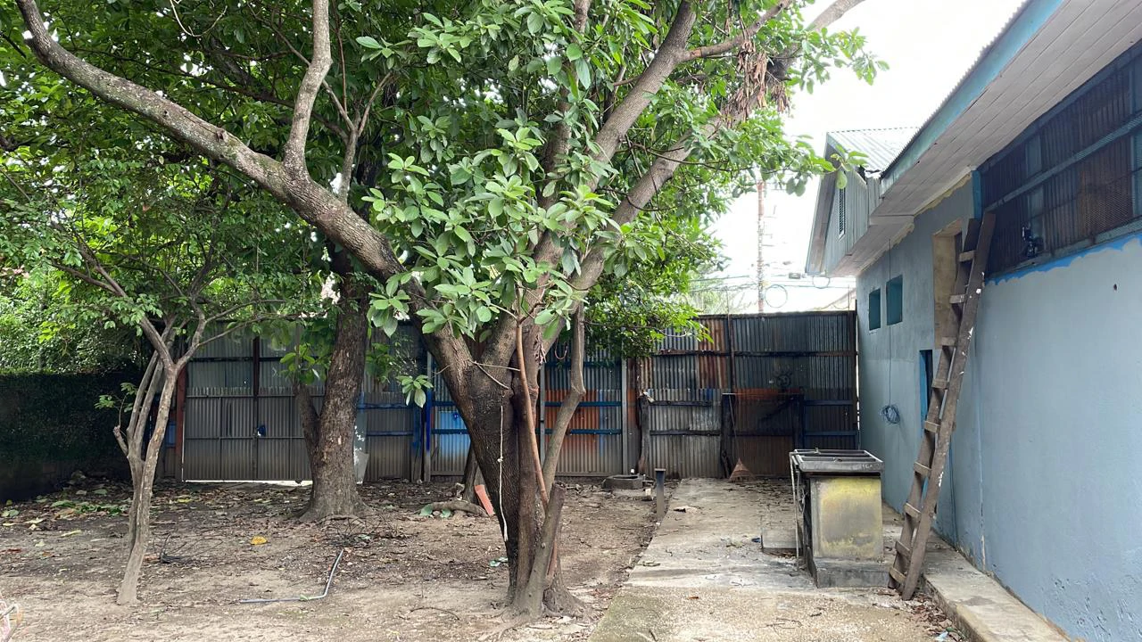 Property for rent or sale in the center of Liberia 2 houses with 350 m², 2 big living rooms, 7 rooms, a garden, and 9 parking lots - Gallery image 17