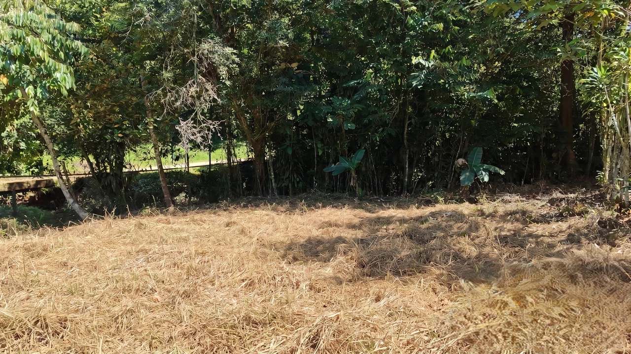 Home Construction Site For Sale in El Pilar - Gallery image 8
