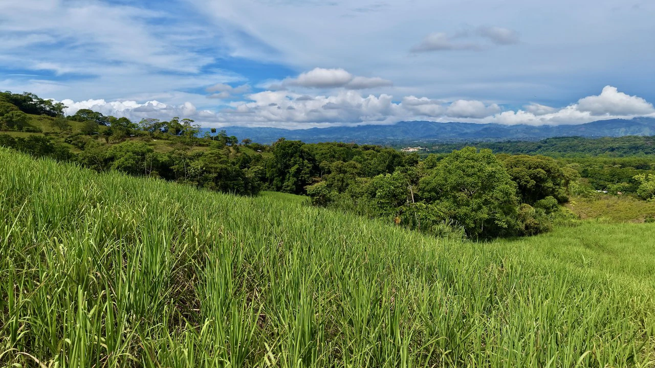 Home Construction Site For Sale in General Viejo - Gallery image 5