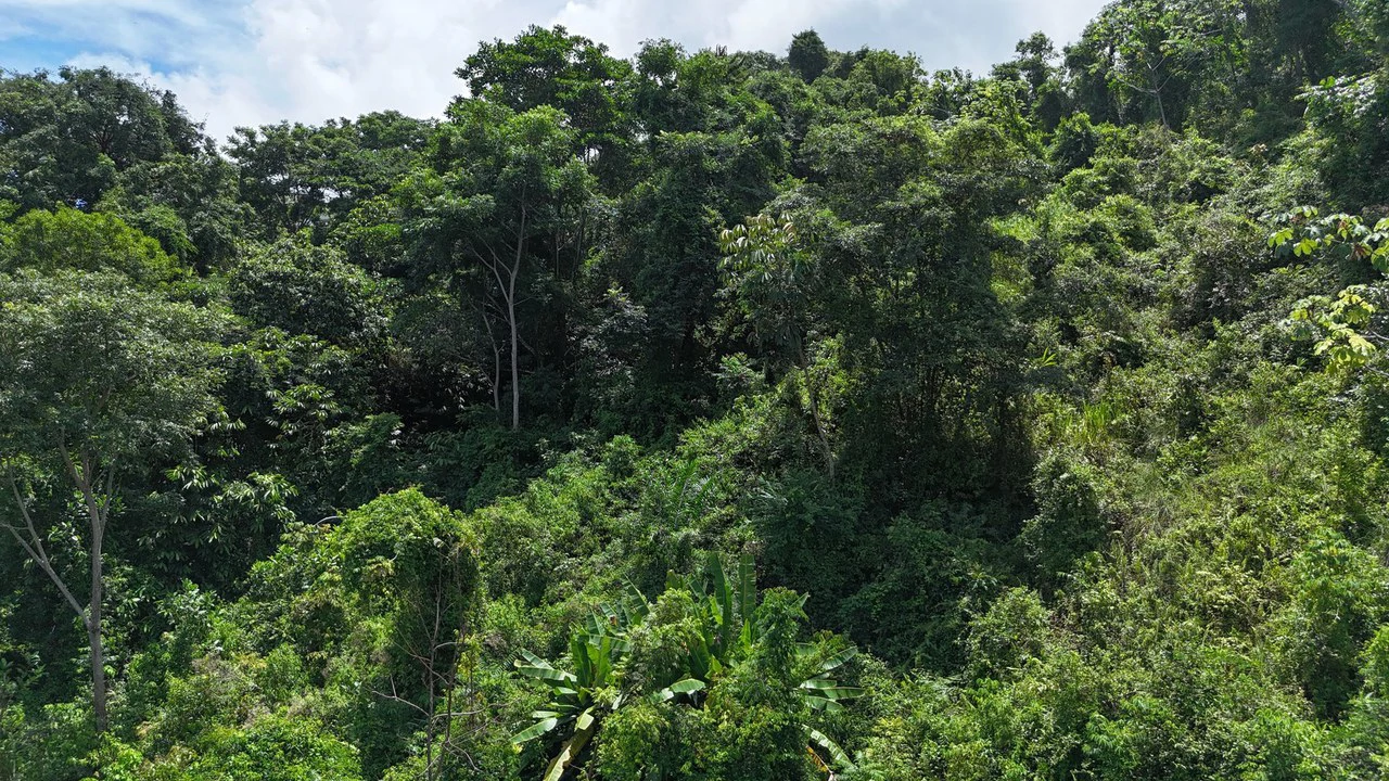 Exquisite Jungle property with Ocean View | Gated Community in Ojochal 3 - Gallery image 8