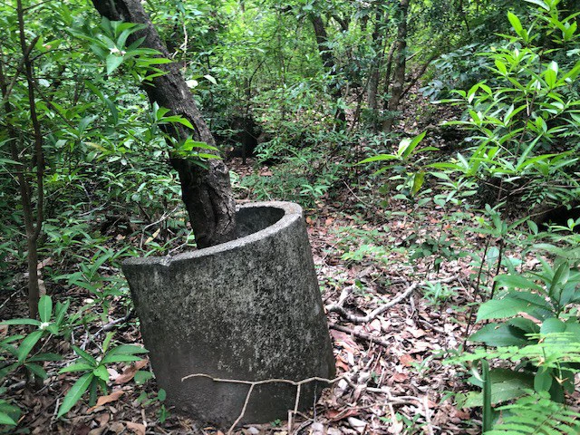 Mountain Farm for Sale in Liberia – Nature, Privacy, and High Investment Potential - Gallery image 18