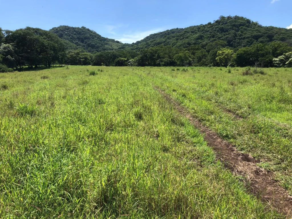 Huge dream Cattle farm for sale with 2 houses close to the Gulf of Nicoya, Guanacaste, Costa Rica - Gallery image 36