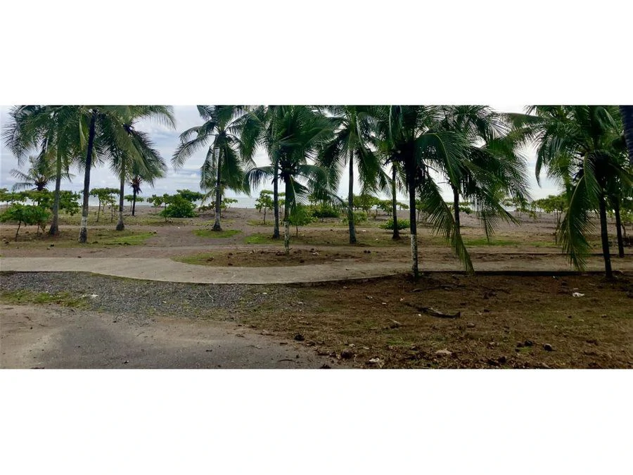 Lot just a few meters from Jaco Beach.: Exceptional Lot for Sale in Jaco Beach, Costa Rica - Gallery image 11