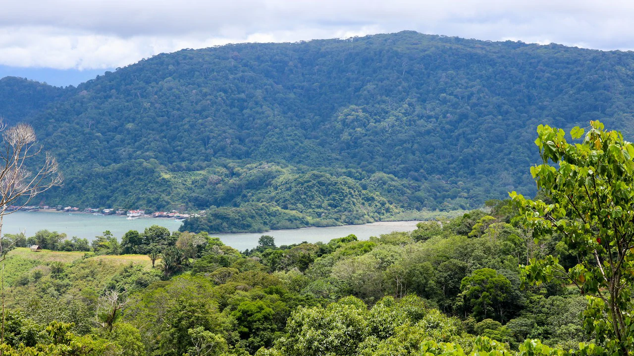 Unique Development Property Overlooking the Pristine Golfito Bay and Golfo Dulce - Gallery image 33