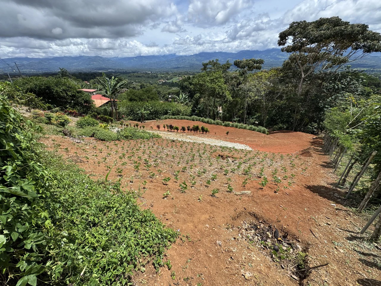 Prime 40,000 Sq. Ft. Building Lot with Mountain & Valley Views in Pérez Zeledón - Gallery image 3