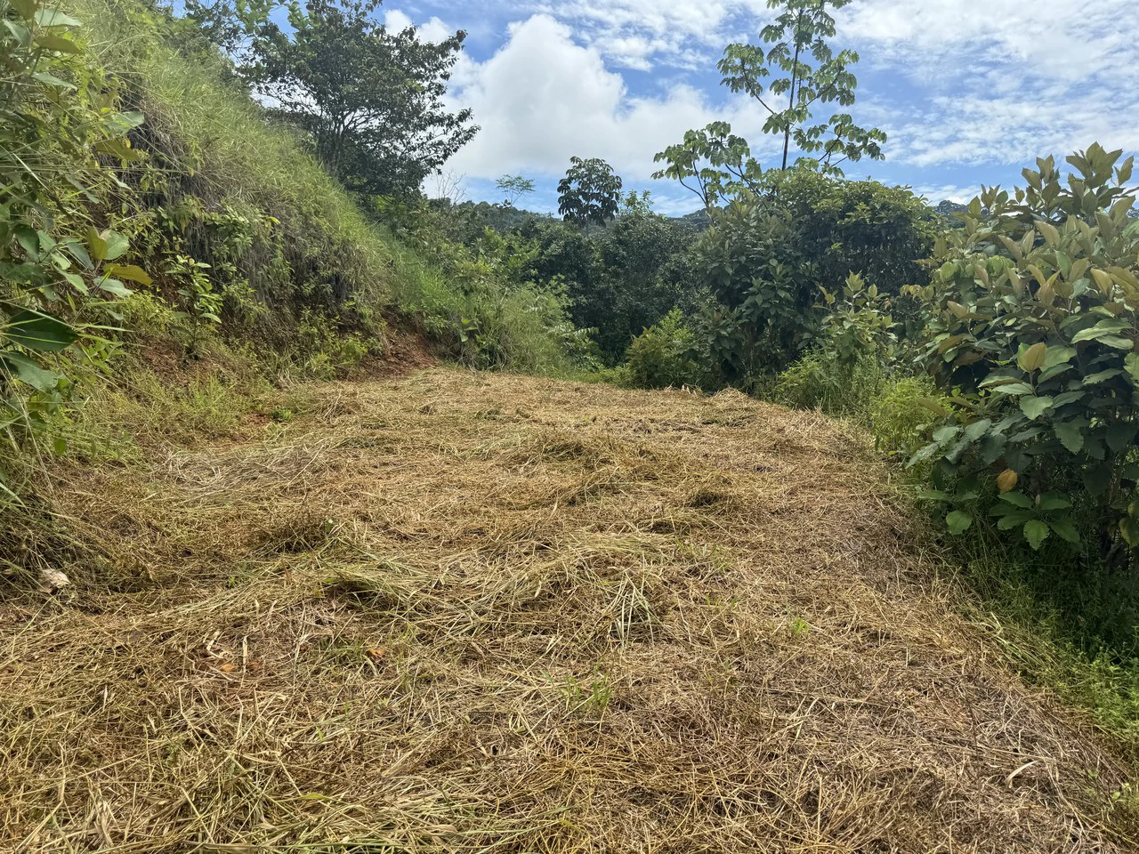 2.6 ACRES – 3 Bedroom Home With Beautiful Views, Several More Building Sites, Perfect For Small Farm!!! - Gallery image 29