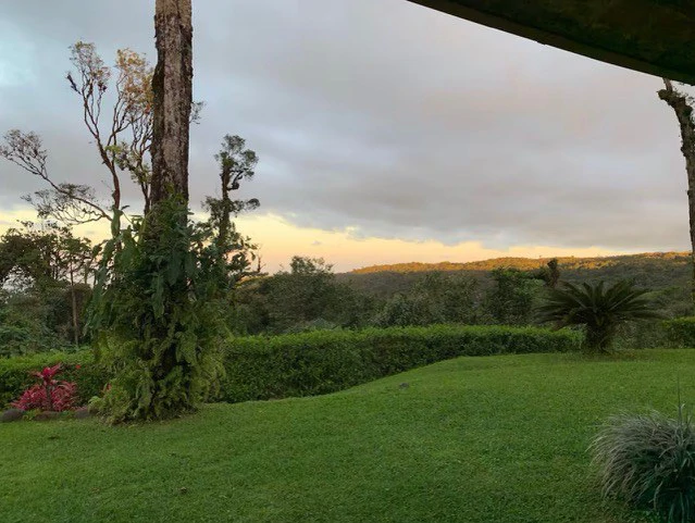 NATURE LOVERS PARADISE ! Jungle home on 25 acres with beautiful views - Gallery image 15